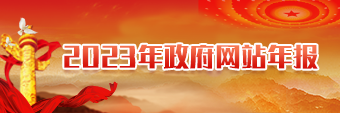2023年政府網站年報